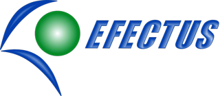 EFECTUS - Consultorías y Servicios empresariales